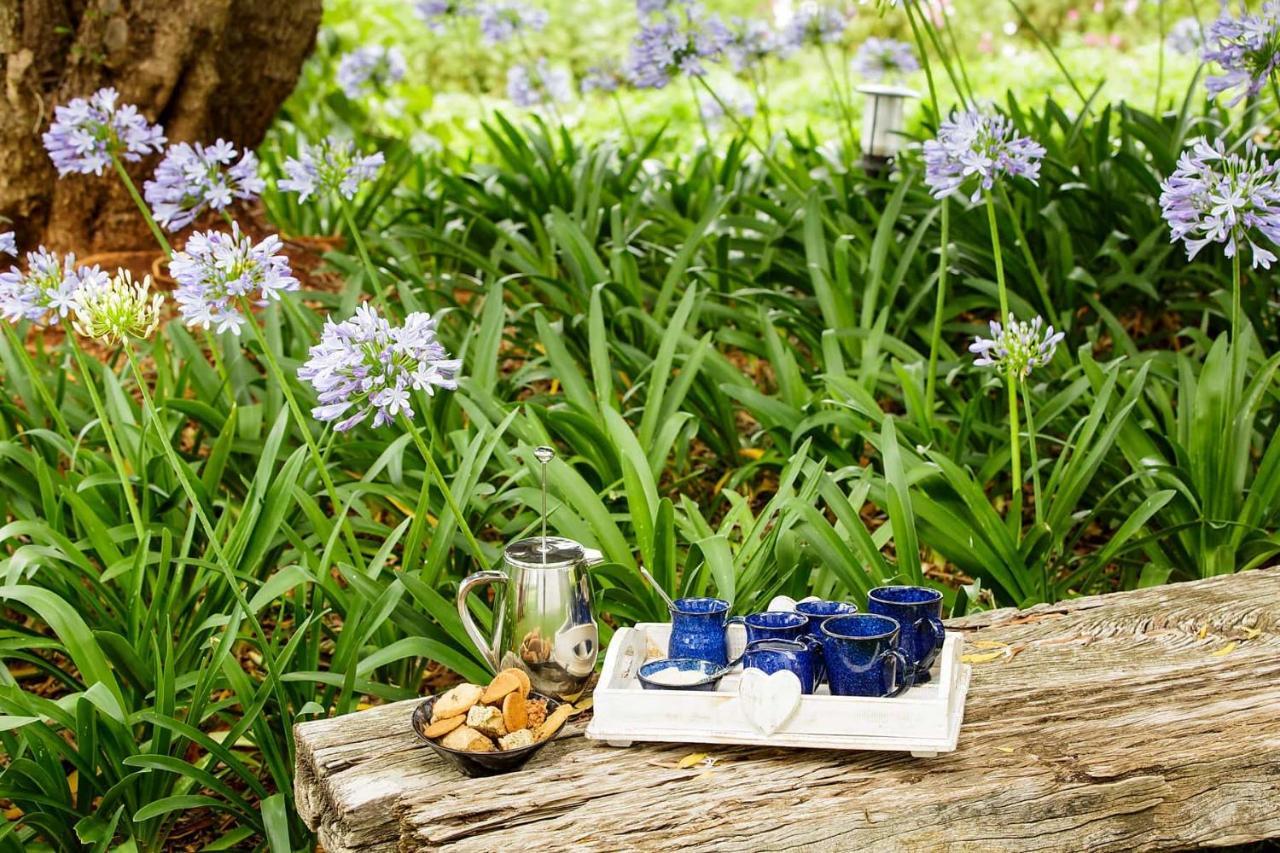 Blue Lily Retreat Bed and Breakfast Matjiesrivier  Εξωτερικό φωτογραφία